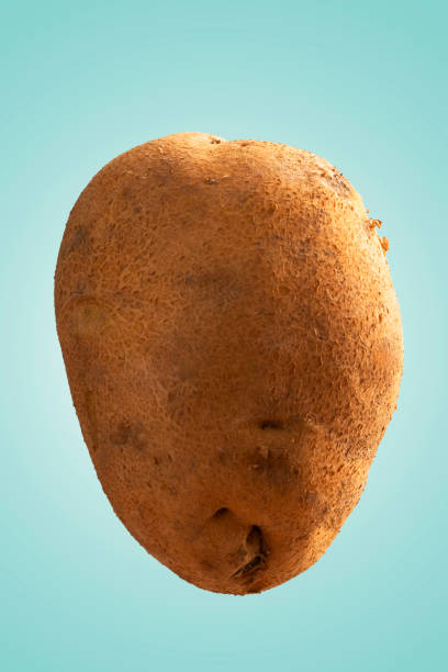 Abstract background of potato in space