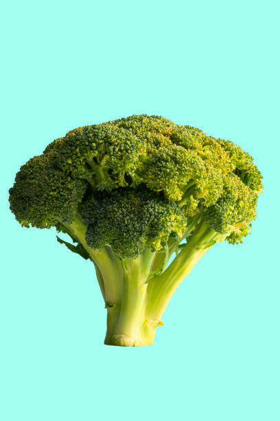 istock Abstract background of broccoli in space 2198260326