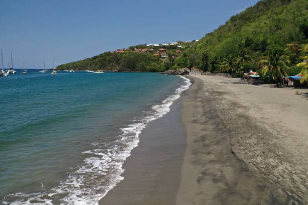 istock Lockdown Solitude at Malendure Beach - Deserted Volcanic Sands & Wildlife Reclamation in Guadeloupe 2198262641