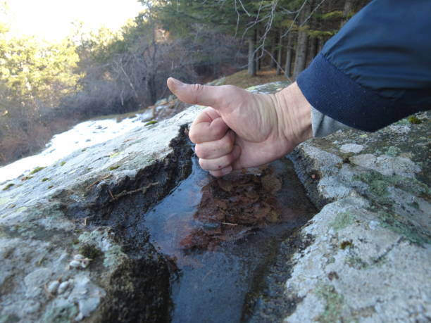 Frozen puddle in a stone high in the mountains with frozen leaves and air bubbles.