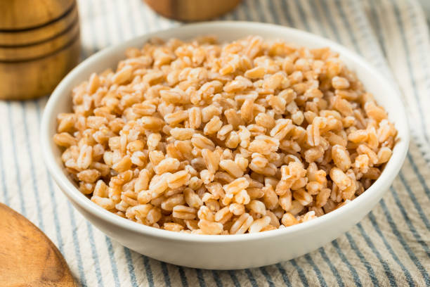 istock Organic Cooked Italian Farro Rice 2198264471