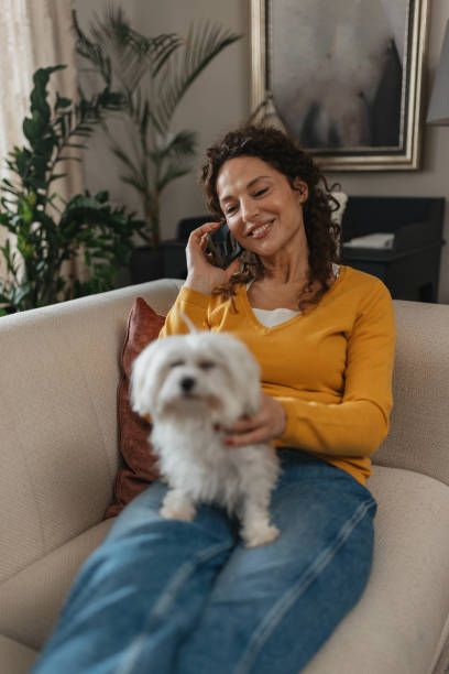 istock Woman Talking on Phone with Small Dog on Couch 2198269835