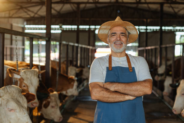 istock Confident Farmer Standing in Cow Barn 2198272590