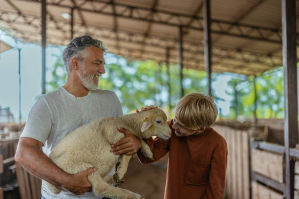 istock Father and Son Bonding with Farm Animal 2198272594