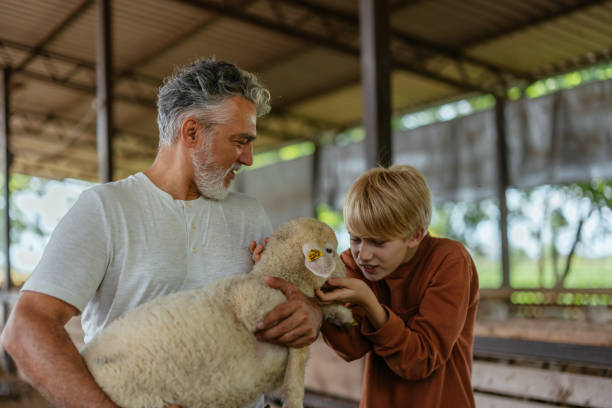 istock Grandfather and Grandson Bonding with Lamb 2198272600
