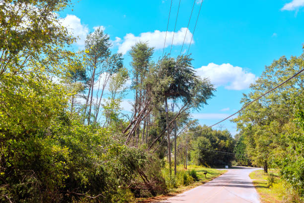 istock Tree is blown down by a tropical storm hurricane, breaking electrical wires 2198274991