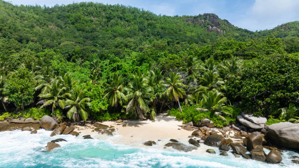istock Sandy beach surrounded by lush tropical forest. Seychelles, Mahe. 2198279437