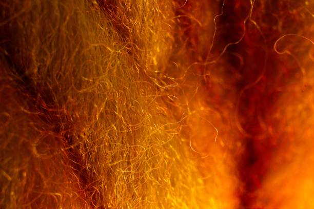 Closeup of gold kettle dyed merino wool.