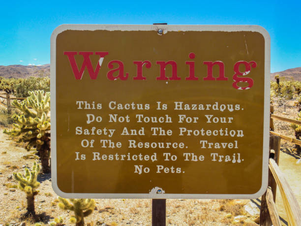 istock Cactus Warning Sign At Joshua Tree National Park 2198281831