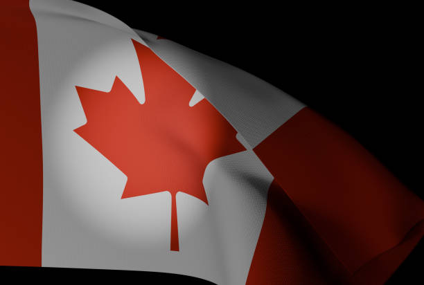 istock Rendered canadian flag 2198289298