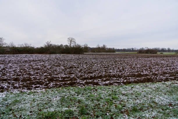 istock Frost-Covered Agricultural Field in Winter 2198301522