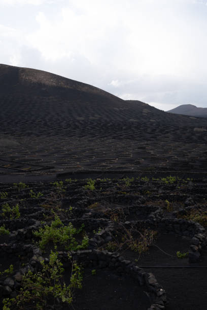 istock Volcanic Landscape of Lanzarote: Lava Fields and Craters 2198315746