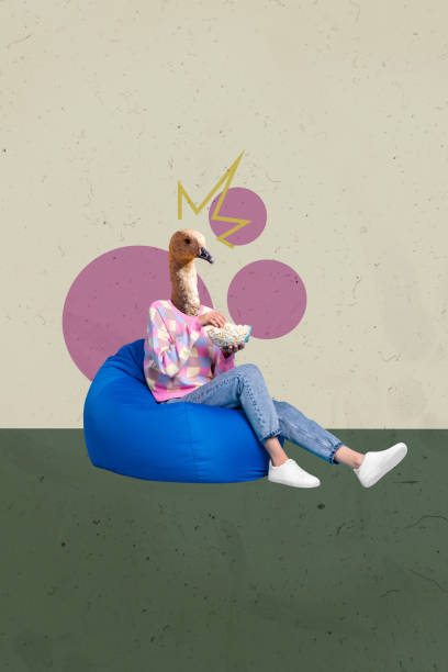 istock Composite vertical collage image of bird head girl sit bag eat popcorn isolated on creative background 2198316026