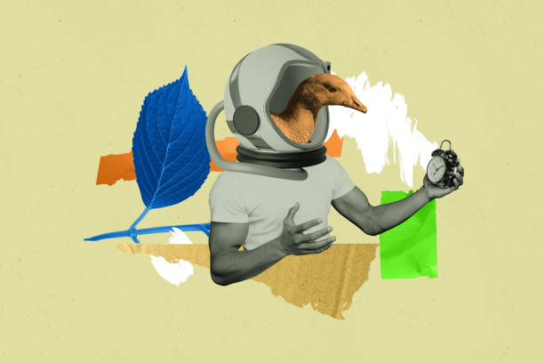 istock Creative abstract template graphics collage image of funny guy goose helmet instead head isolated beige color background 2198317267