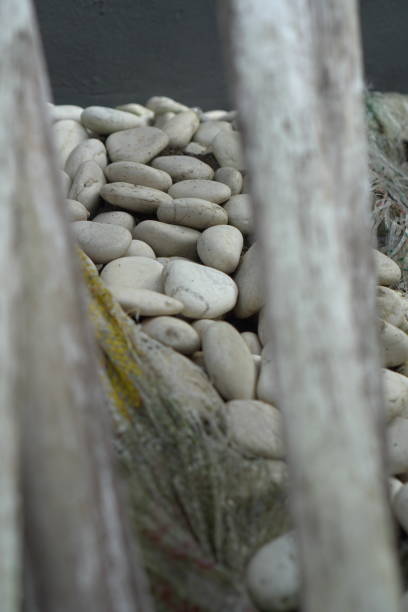 Gray coloured pebbles or gravel horizontal photograph with variety of small and large uneven stones making a rough rustic backdrop wallpaper with some colored small stones all over and one circular white marble circle as label for copy space. Rustic wallpaper template has textured effect and no people.