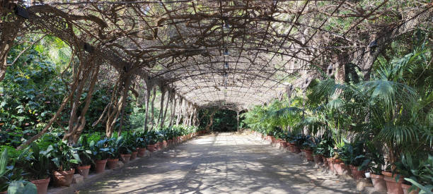 Jardin Botanico La Concepcion, Malaga - Spain - 23rd Feb 2023: A serene path amidst lush greenery and vibrant plants on February 23, 2023.