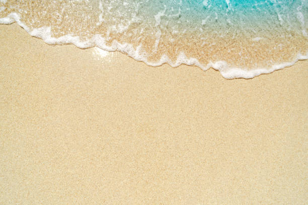 istock beautifully sand beach, closeup, top view 2198330570