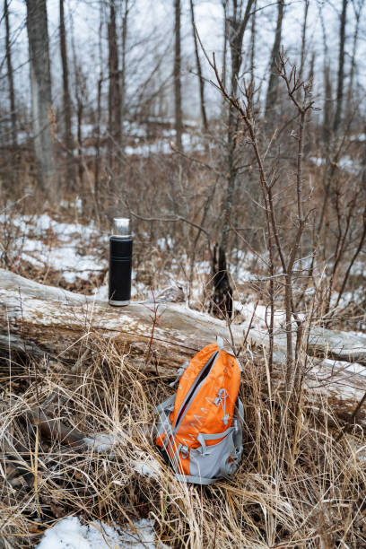 istock A wellworn backpack rests on the lush, mossy forest floor, nestled among vibrant nature, forming a peaceful and picturesque scene that beautifully captures the essence of the woodland area 2198332343