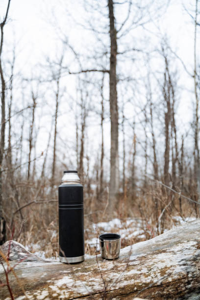 istock A thermos and cup rest on a log in the scenic woods, surrounded by tall trees and greenery, creating an ideal spot to relax and appreciate natures beauty. A perfect moment 2198332350