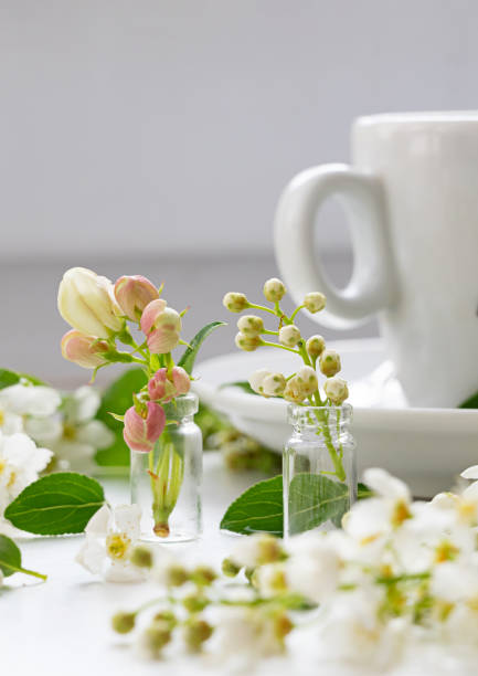 istock Blank card surrounded by delicate flowers and patterned shadows on a soft white surface in natural light 2198335640