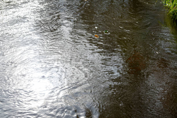 A serene view of tranquil water reflecting golden light, with gentle raindrops creating delicate ripples