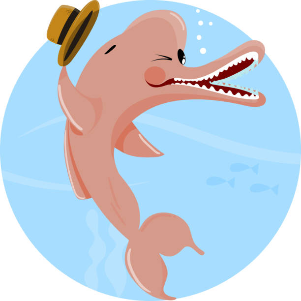 Pink Dolphin of the Amazon River. It transforms into a handsome man who wears a straw hat to cover the hole on his head. He seduces the women of the region – Boto Rosa