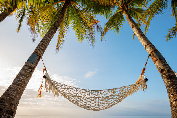istock Hammock hanging between two coconut palm trees on the tropical paradise beach 2198350989