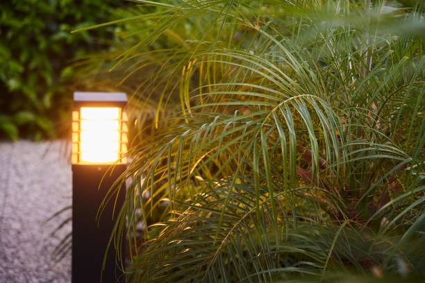 istock Lighting in a tropical city. Southern plants. 2198352248