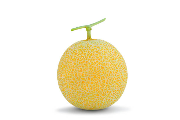 Cantaloupe melon isolated on white background.