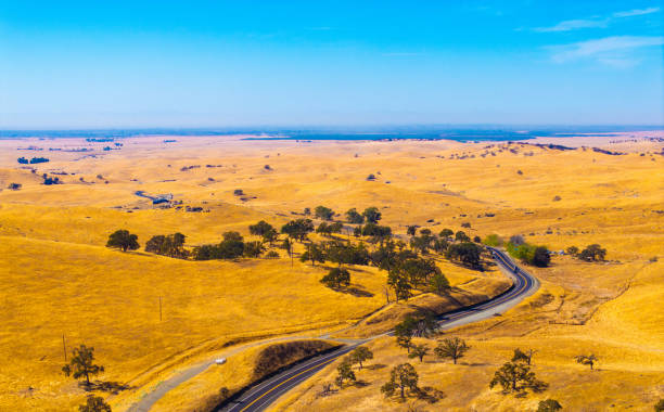 Golden rolling hills of California, where a winding road cuts through the vast countryside under a clear blue sky. This classic California landscape captures the beauty of open spaces and rural serenity.