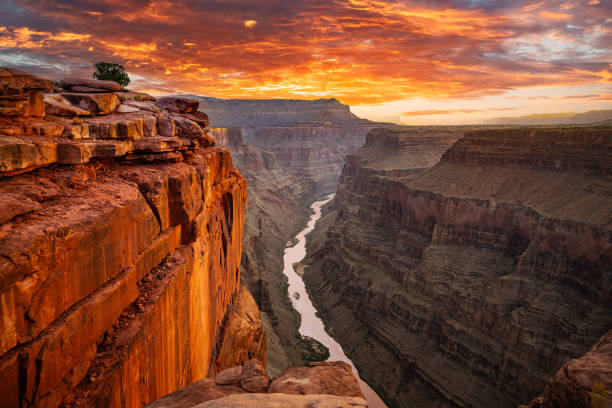Experience the breathtaking view from Toroweap Overlook at the North Rim of the Grand Canyon, capturing the dramatic cliffs, rugged landscape, and the winding Colorado River at sunset. This stunning scene highlights the canyon’s depth, beauty, and natural wonder. Toroweap is a very remote location and very challenging to get to.