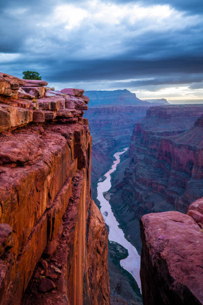 istock Grand Canyon Toroweap Overlook Sunrise 2198360569