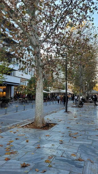istock presents a tree-lined street with autumn leaves falling on the tiled sidewalk 2198363936