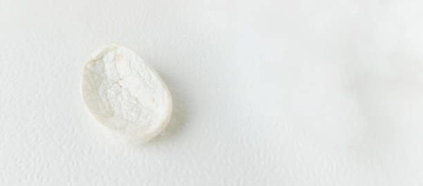 istock A silkworm cocoon on a white table, with fluffy airy silk filler for blankets and pillows in the background. 2198364948