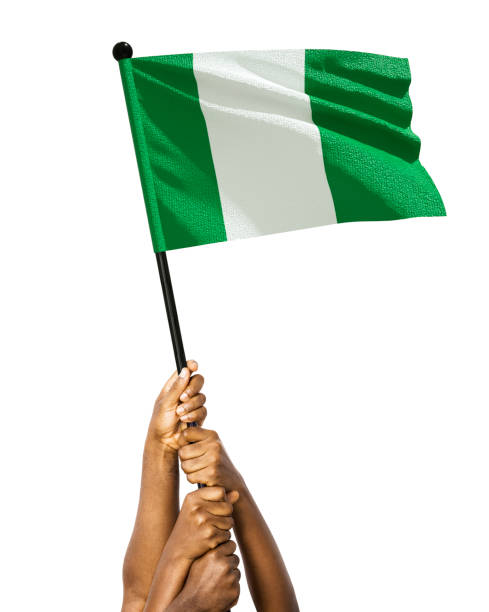 Many different group black African hands holding lifting raising Nigerian national flag isolated over white background. Stretching arms for flag. Togetherness, unity independence day celebration