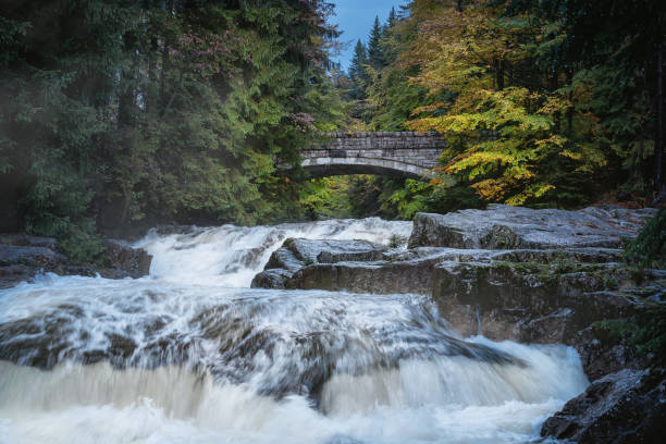Serene River Flowing Beneath a Picturesque Stone Bridge in Forested Landscape