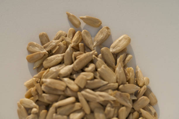 Macro photography of dried pumpkin seeds