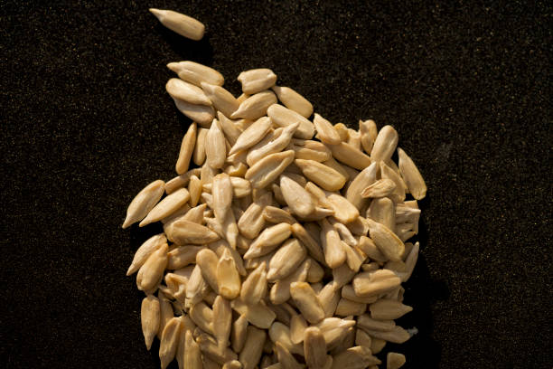 Macro photography of dried pumpkin seeds