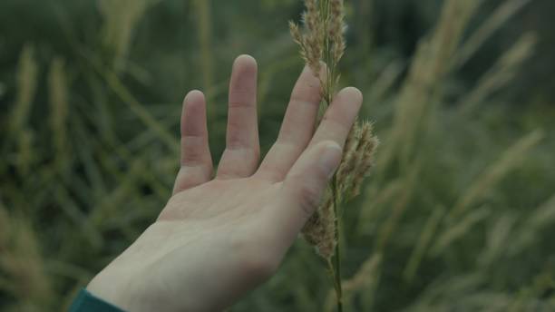 istock Melancholy Hand Touches Ears In Nature During Sad And Cold Thoughts 2198386711
