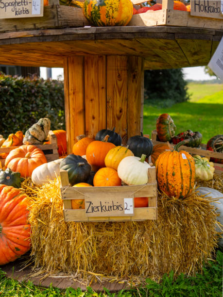 istock A stand with pumpkins for sale. 2198386898
