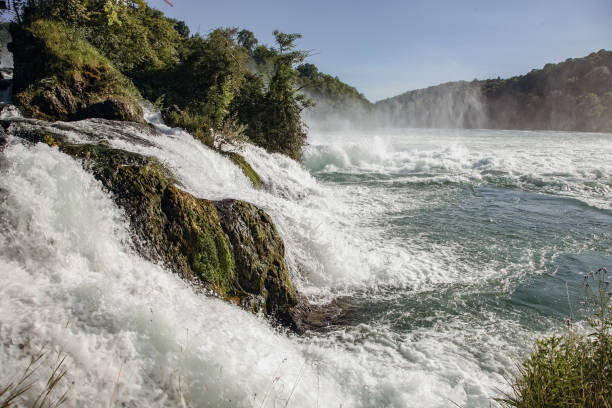 A Rhine waterfall in Schaffhausen Switzerland is flowing into a river. The water is very clear and the sky is blue. There are trees in the background
