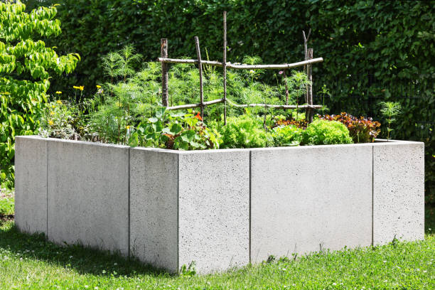 istock Raised Beds in Community Garden 2198388217