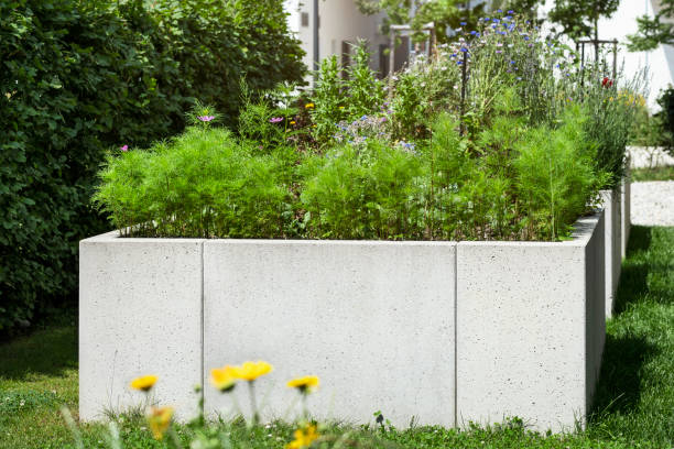 istock Garden Raised Beds Urban Gardening 2198388224