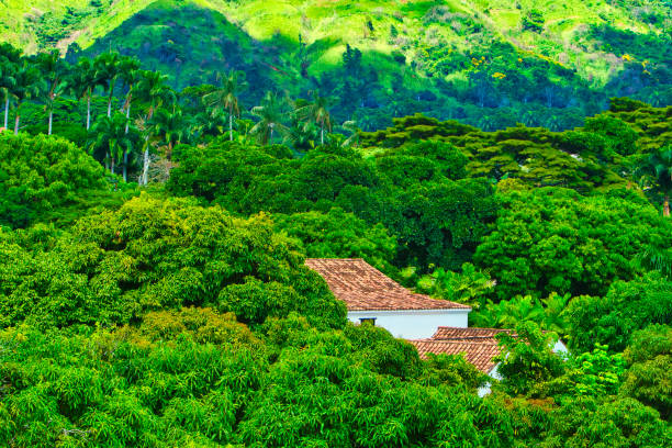 Tropical colonial architecture combines design elements adapted to warm and humid climates, using influences from the European cultures that colonized these regions.