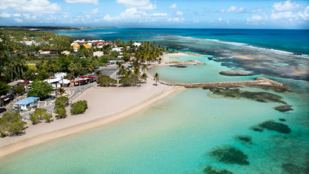 istock Deserted Beach of Sainte-Anne During Lockdown, Guadeloupe 2198389565