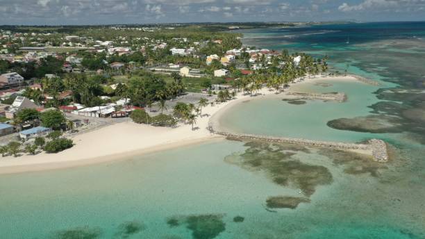 istock Deserted Beach of Sainte-Anne During Lockdown, Guadeloupe 2198389574