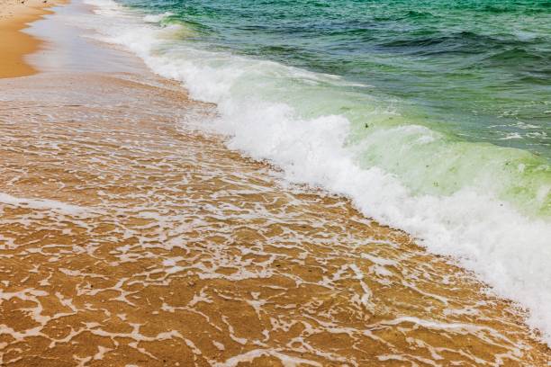 istock Emerald green waves rolling onto sandy shore with white foam against blue sky with white clouds on Miami Beach Atlantic coast. USA. 2198389862