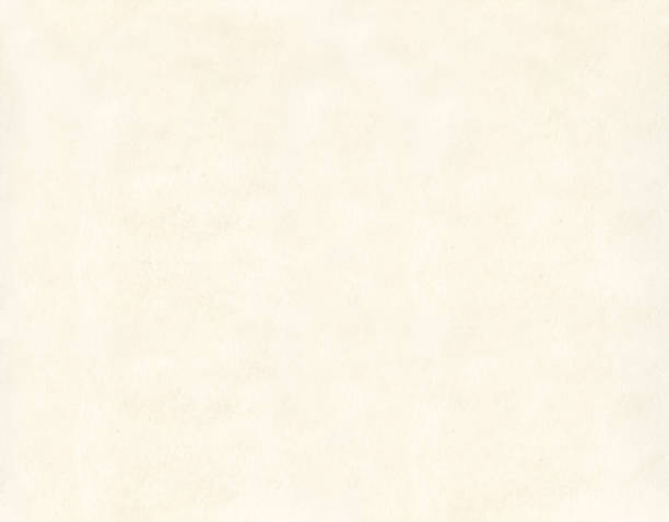 istock Background with grunge texture of retro paper. Horizontal or vertical cardboard texture banner. Old paper vintage texture. Craft eco paper sheet backdrop with rough grunge shabby scratched textured 2198390055