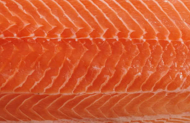 istock Raw salmon fish fillet, macro. 2198393773