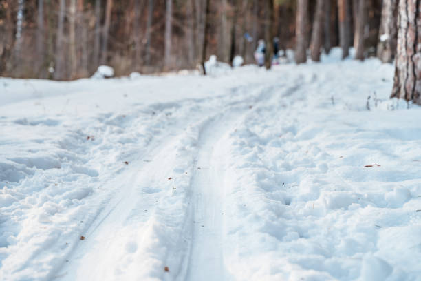 A ski trail in a snowy winter forest.